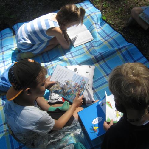 Lesepicknick