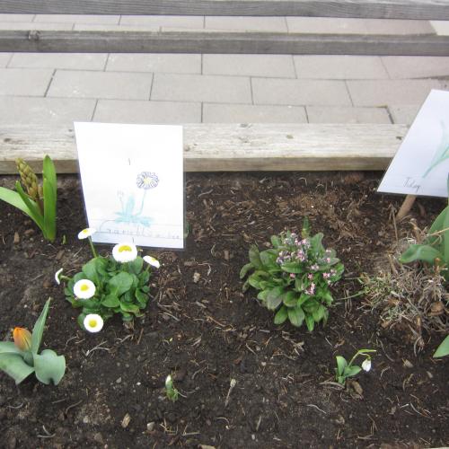 BeschriftungBeschriftung