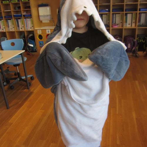 uNsinniger DonnerstaguNsinniger Donnerstag