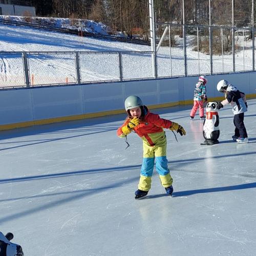 Eislaufen