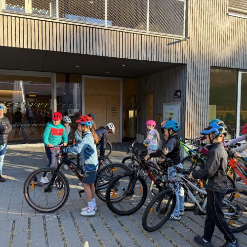 Radworkshop 