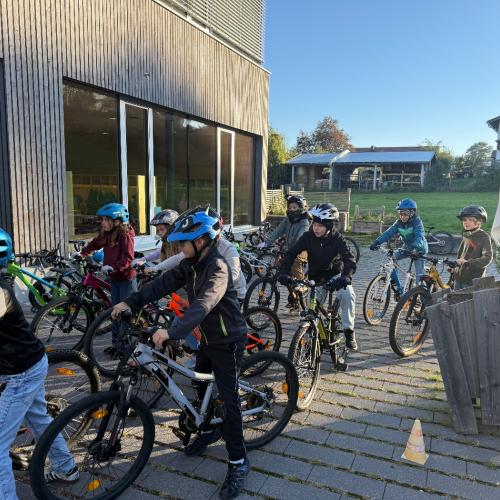 Radworkshop 