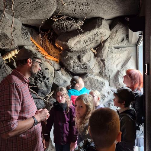 Innsbruck 