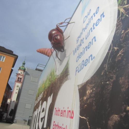   Veröffentlicht Bild  Vorschau Alternativtext Ein