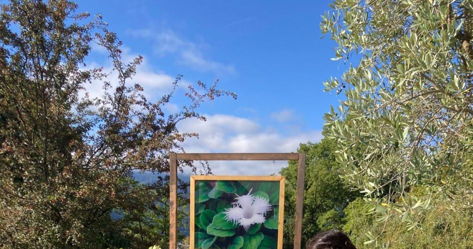 Botanischer Garten