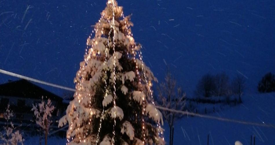 baum