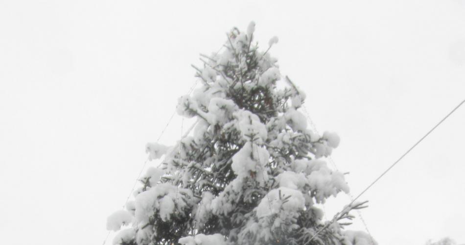 schnee