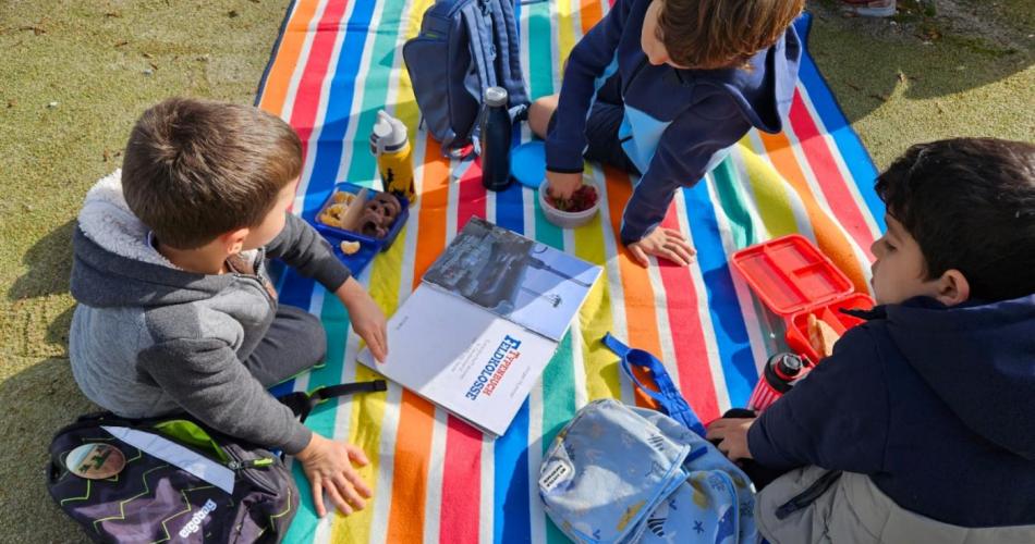 Lesepicknick